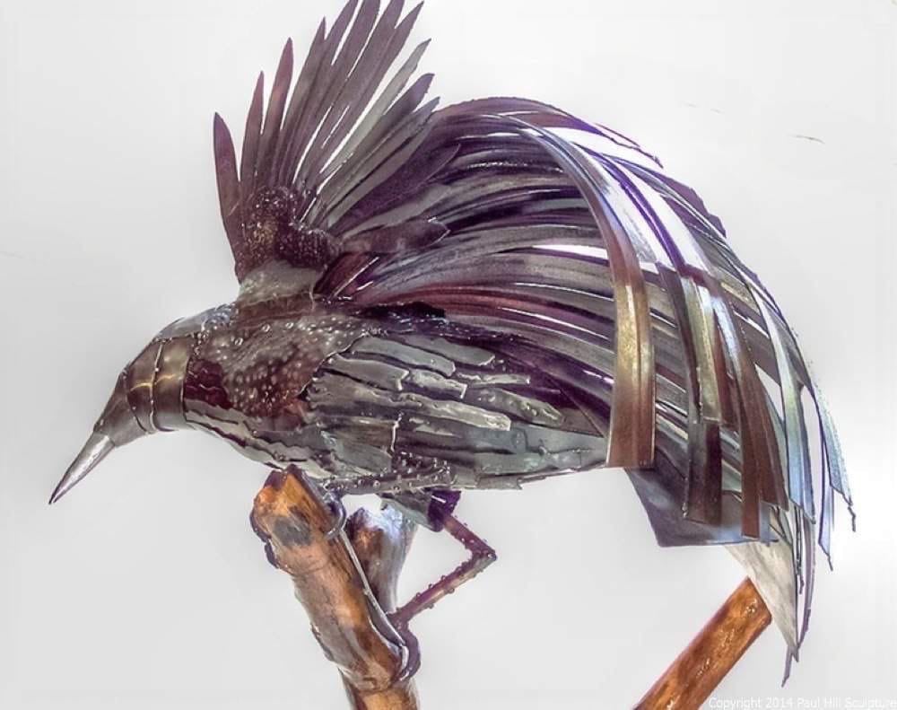 Bird of Paradise