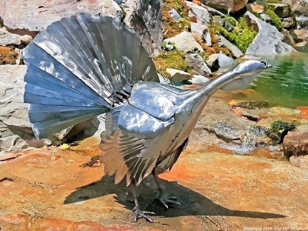 May Turkey